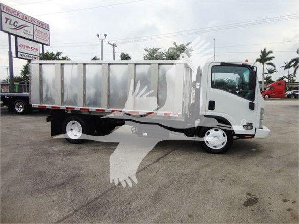 Isuzu NQR dump truck side view showing cargo bed and cab in a dealership lot.