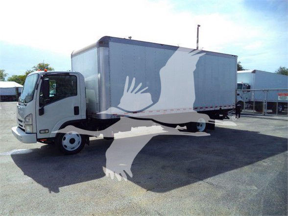 Isuzu box truck with a light gray cargo box and white cab. The image shows a large box truck with a shadowy overlay of a large white bird graphic across the side of the cargo area.