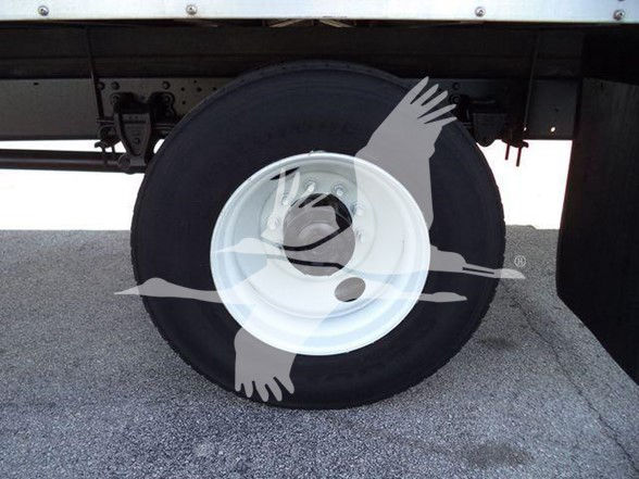 Wheel and tire of a truck undercarriage showing white steel rim.