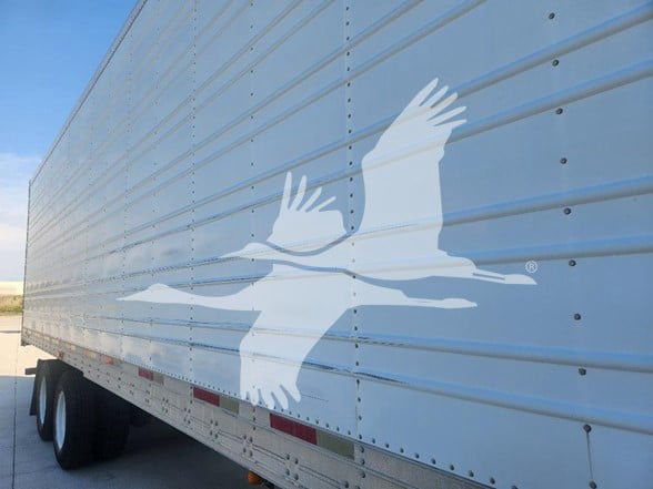 Utility trailer side with light blue color and a large white seagull graphic. Partial view shows railing and wheels. No visible text on the side.