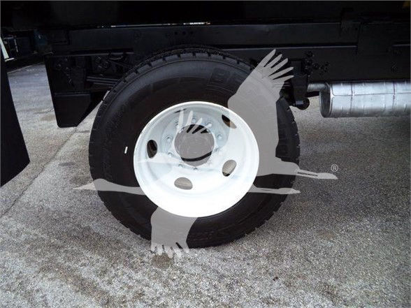 Truck wheel and fuel tank visible with a stylized watermark overlaid on the tire.