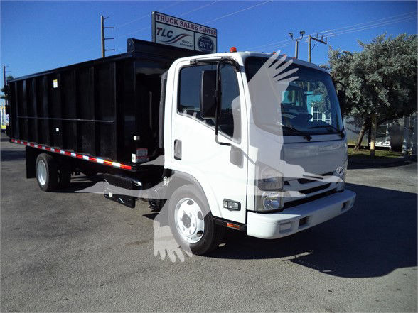 Isuzu NRR dump truck with black dump bed and white cab, front three-quarter view.