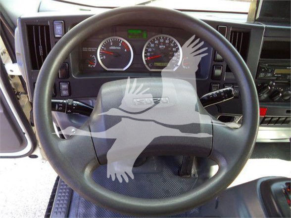 Isuzu NRR truck steering wheel and dashboard view showing instrument cluster and steering column.