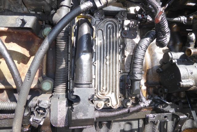 Detroit DD13 engine bay showing valve cover and surrounding components.