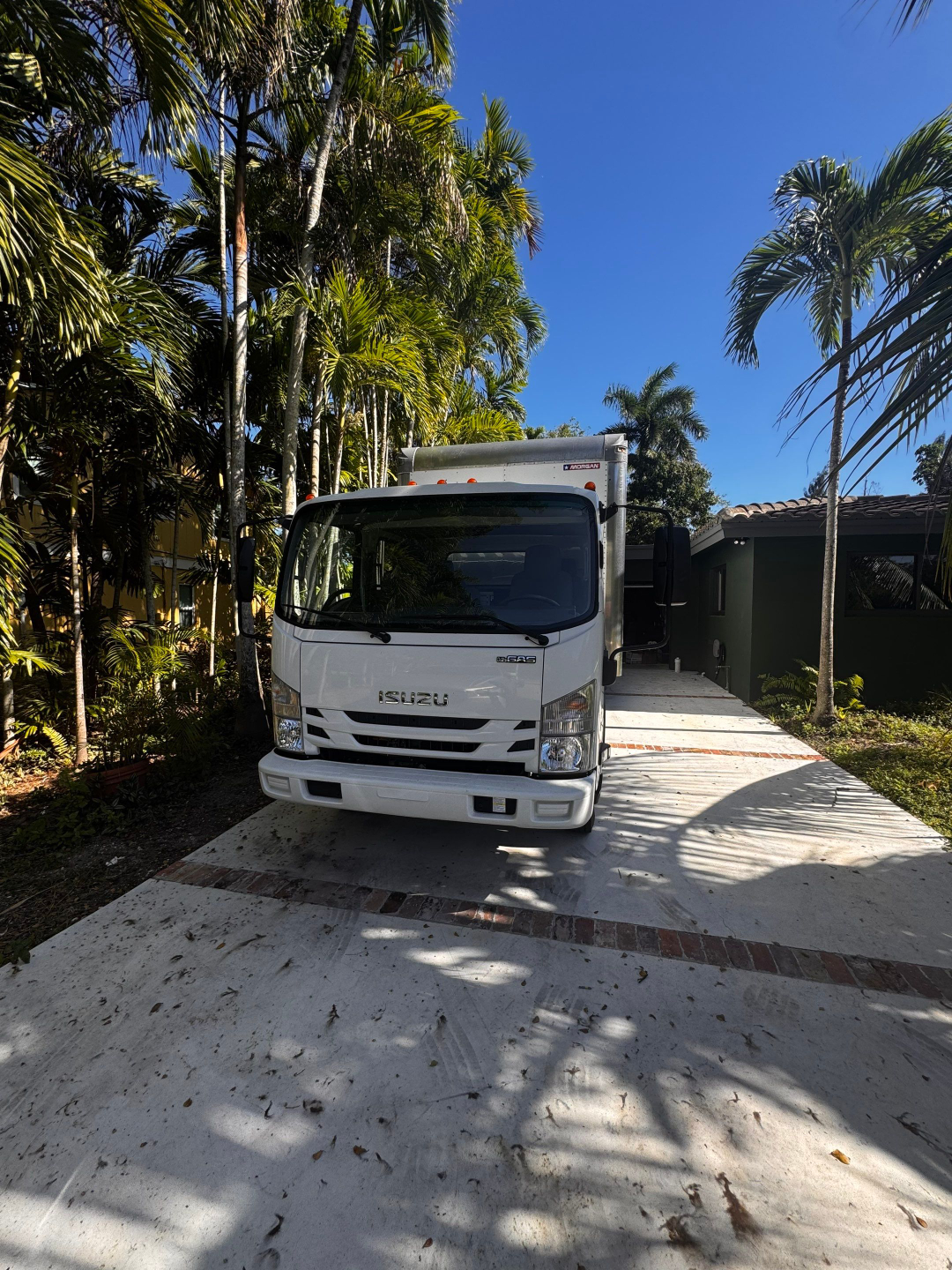Isuzu NQR box truck in driveway facing camera, white cab with Isuzu logo, Morgan box trailer visible, tropical trees around, clear blue sky.