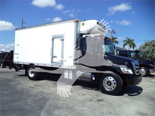 A white refrigerated box truck on a black cab chassis with a side door on the box and a cooling unit atop the cab. The image includes a watermark of a skull and truck silhouette.