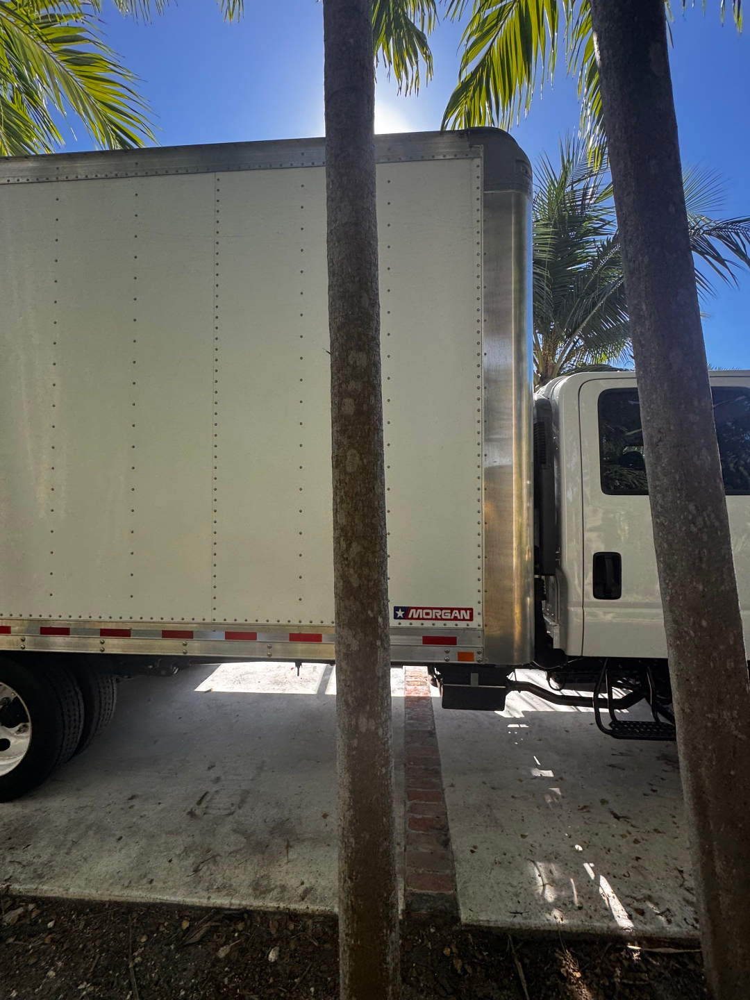 Isuzu NQR box truck side panel with Morgan box brand sticker visible near rear; white cab, riveted aluminum box, palm trees in background.