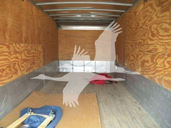 Interior of a box truck cargo area with plywood walls, metal floor, and a few items on the floor (blue strap, red fabric). No visible labels or text readable.