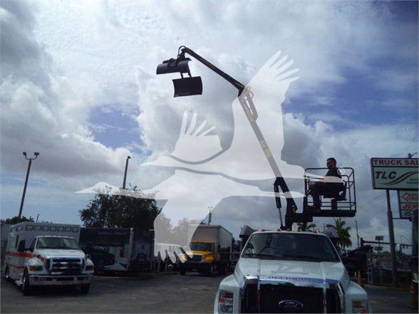 Ford F-650 SD grapple truck with boom arm in operation and a glassy overlay image of a hand logo. Scene includes other trucks in a dealership lot.