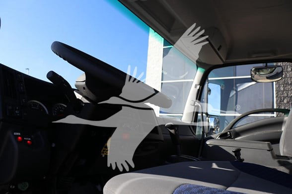 Isuzu FTR truck interior showing driver's seat and steering wheel with overlay watermark of a bird logo.