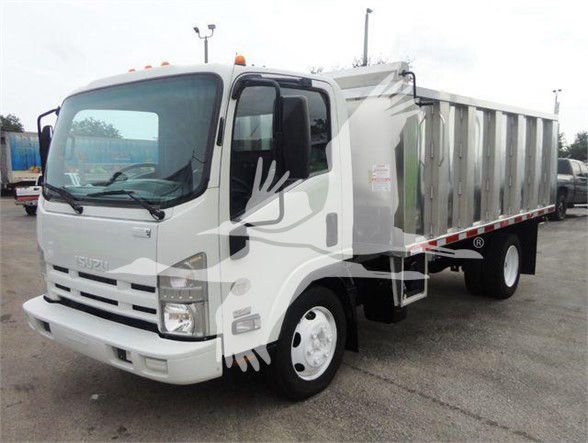Isuzu NQR dump truck in used condition with a white cab and dump bed, side view showing front grille, headlights, and wheel.