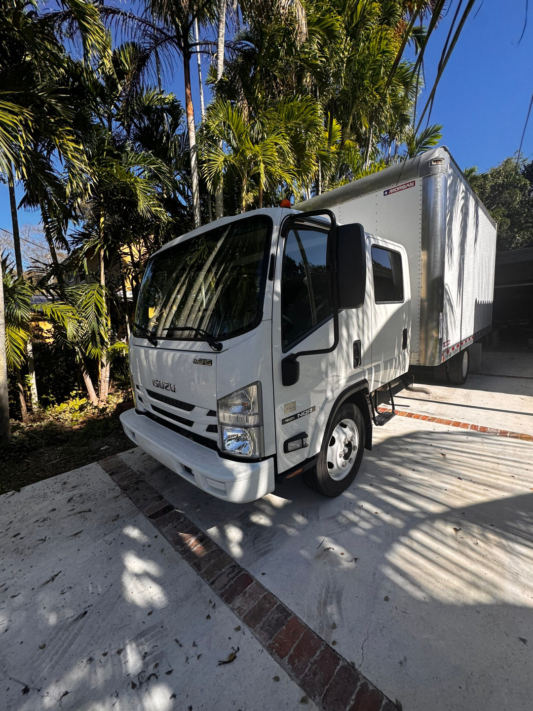 Isuzu NQR box truck with a Morgan cargo box, white cab and black mirrors, parked on a light concrete surface with palm trees in the background.