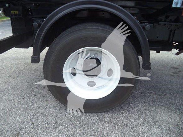 Freightliner M2 106 wheel and dual rear fender showing white steel wheel and black tire.